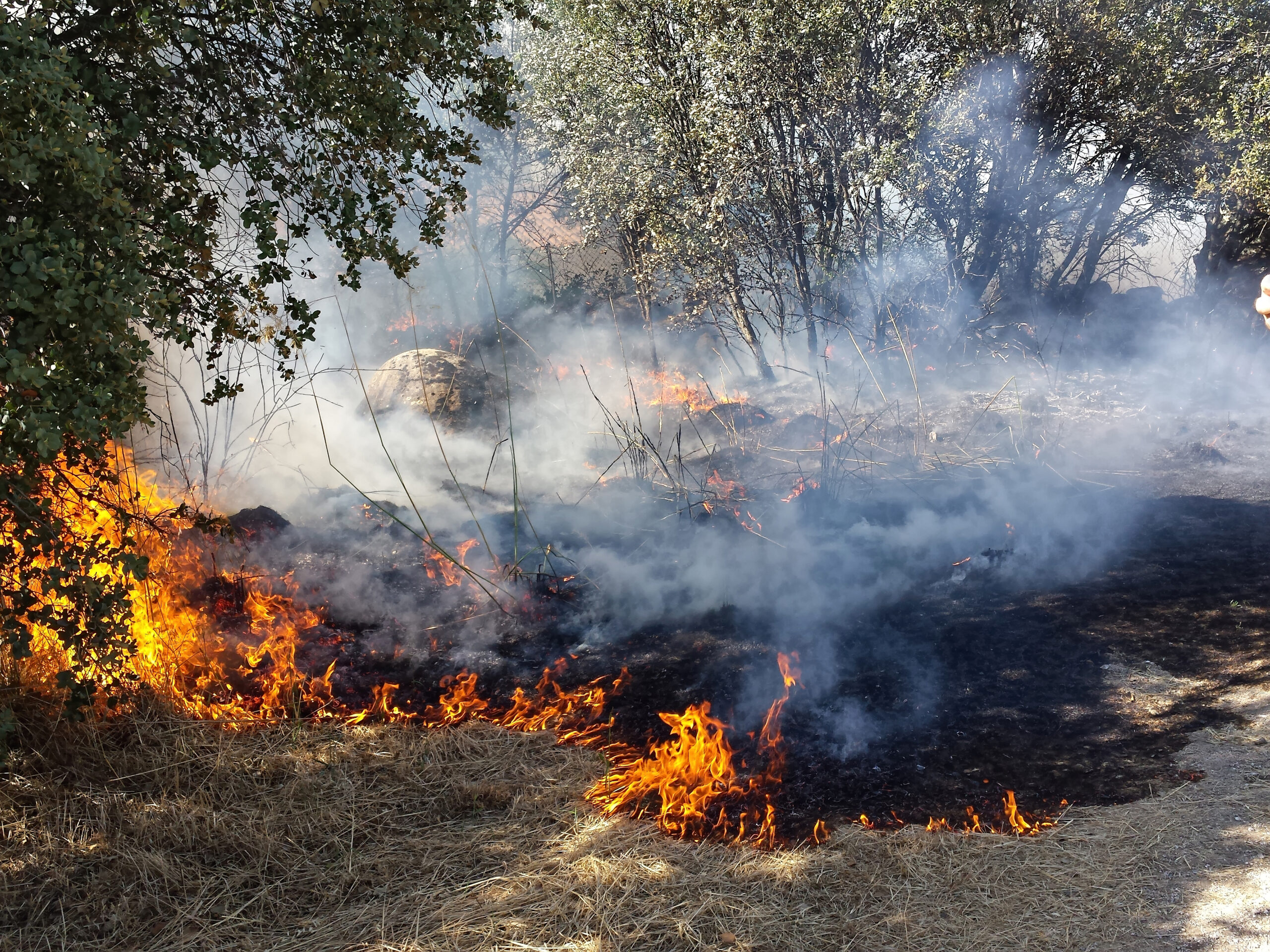 https://www.stockphotos.com/pt/image/flames-of-fire-in-a-summer-field-7856345