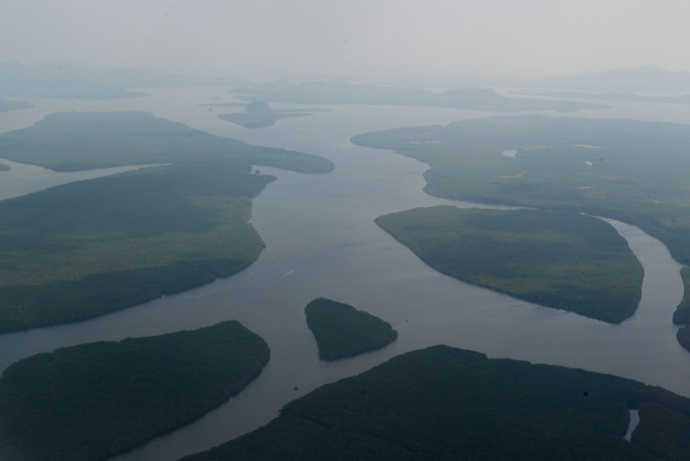 https://www.stockphotos.com/pt/image/the-rivers-with-the-mangroves-outside-of-the-city-of-krabi-on-7908326