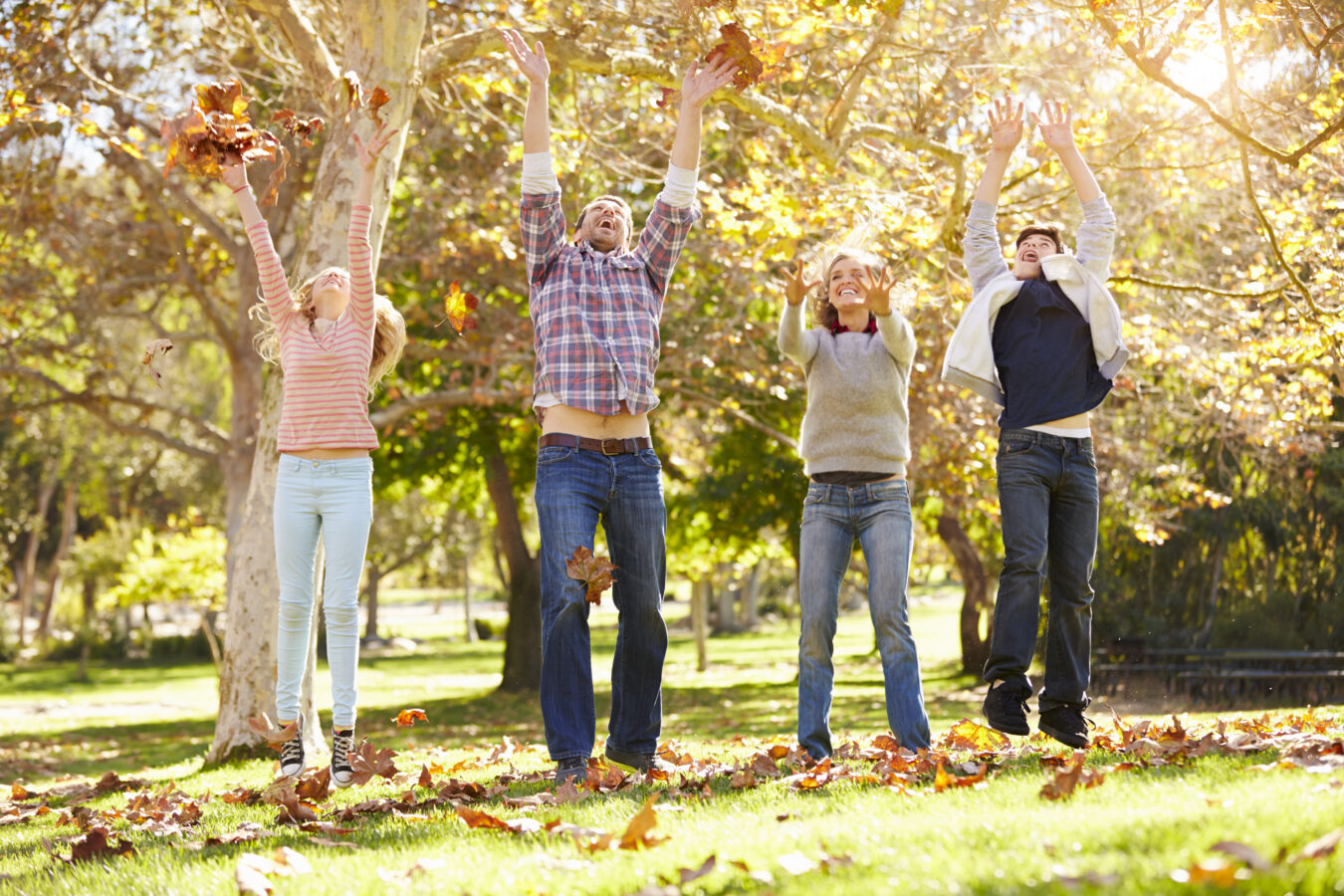 https://www.stockphotos.com/pt/image/family-throwing-autumn-leaves-in-the-air-5639863