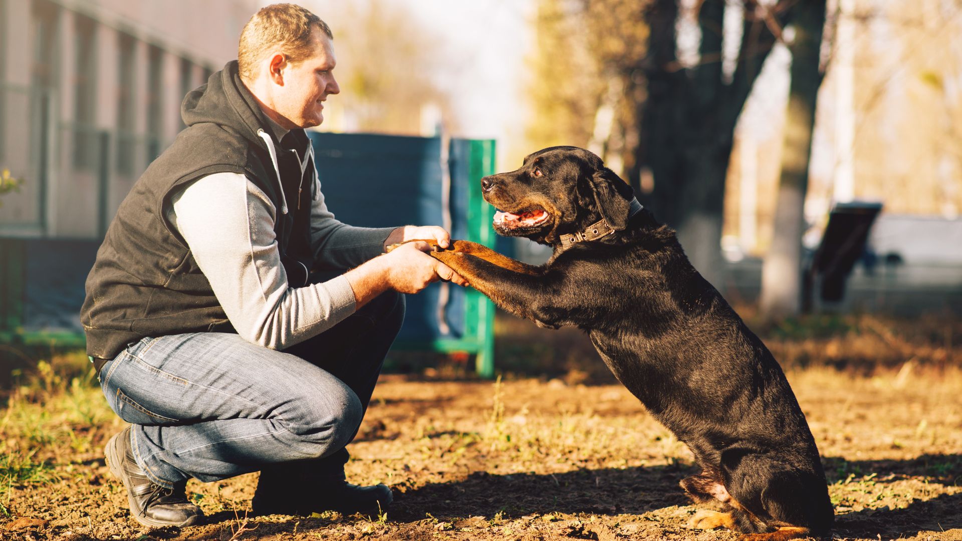 Foto: Stockphotos