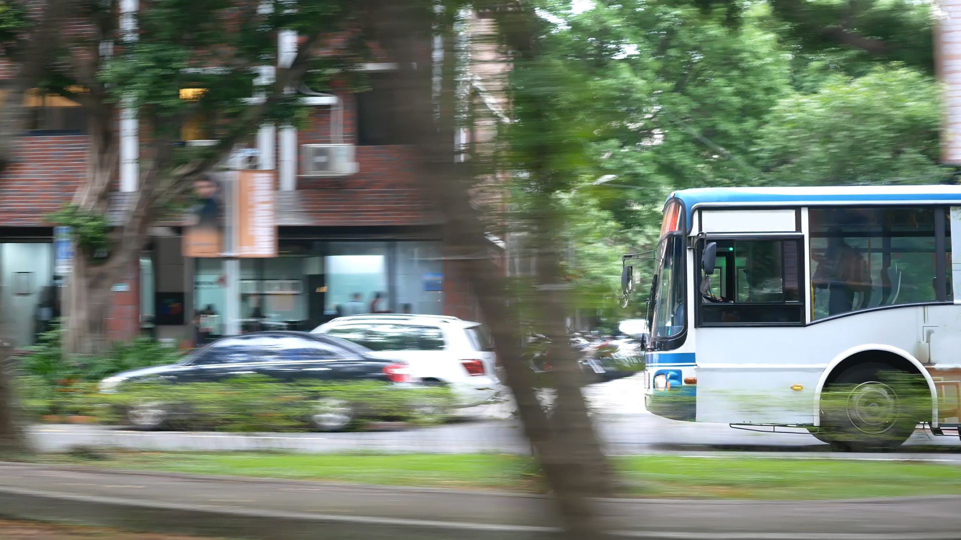 Câmara debate impacto e eficiência dos corredores de ônibus em Campo Grande