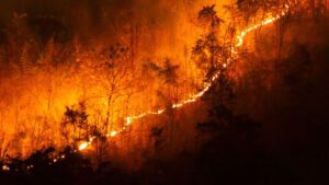 Polícia Federal intensifica combate a incêndios florestais com Operação Incêndios 2025 no Pantanal e Amazônia