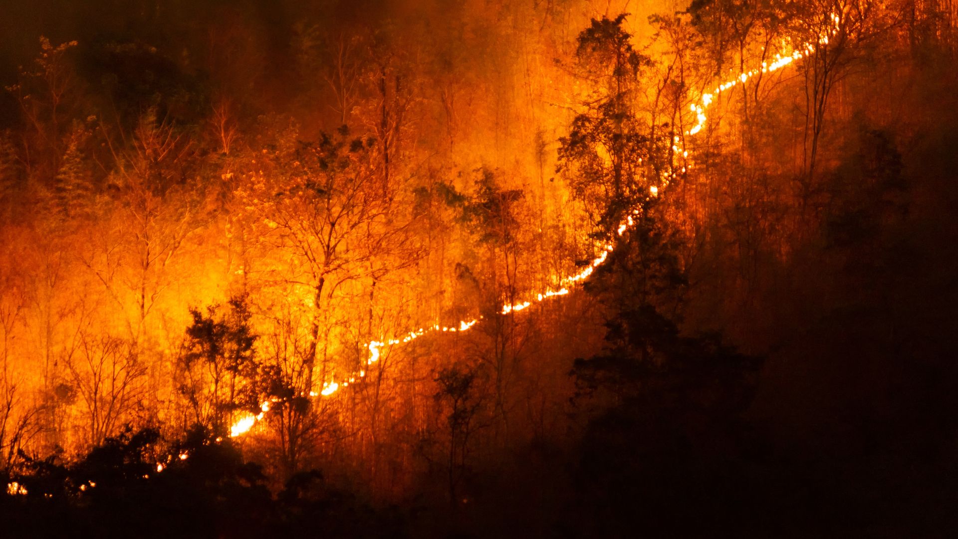 Polícia Federal intensifica combate a incêndios florestais com Operação Incêndios 2025 no Pantanal e Amazônia