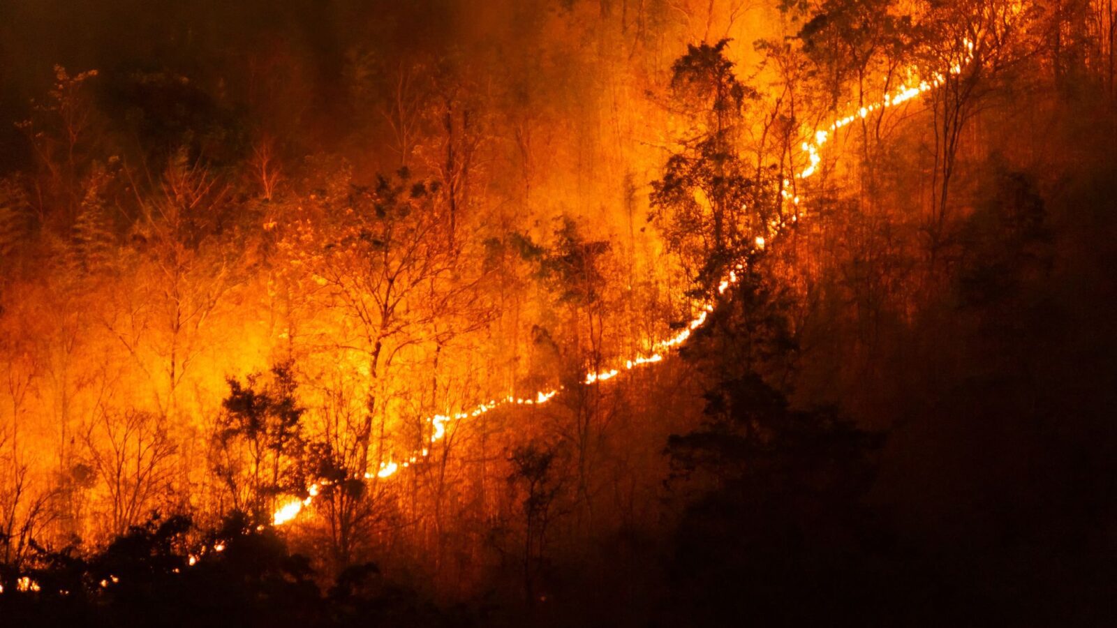Pantanal em alerta: linha de fogo na fronteira entre Brasil e Bolívia mobiliza brigadistas