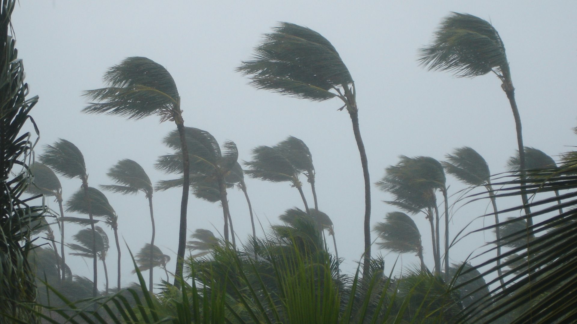 Tempestade e vendaval: Campo Grande e 8 cidades de MS entram em alerta amarelo