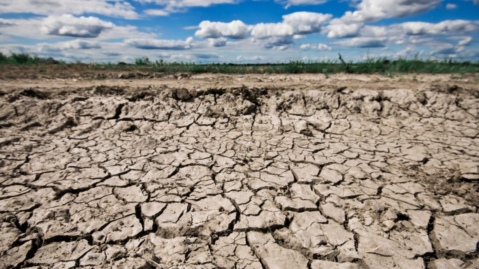 Estiagem e altas temperaturas deixam MS em alerta para incêndios