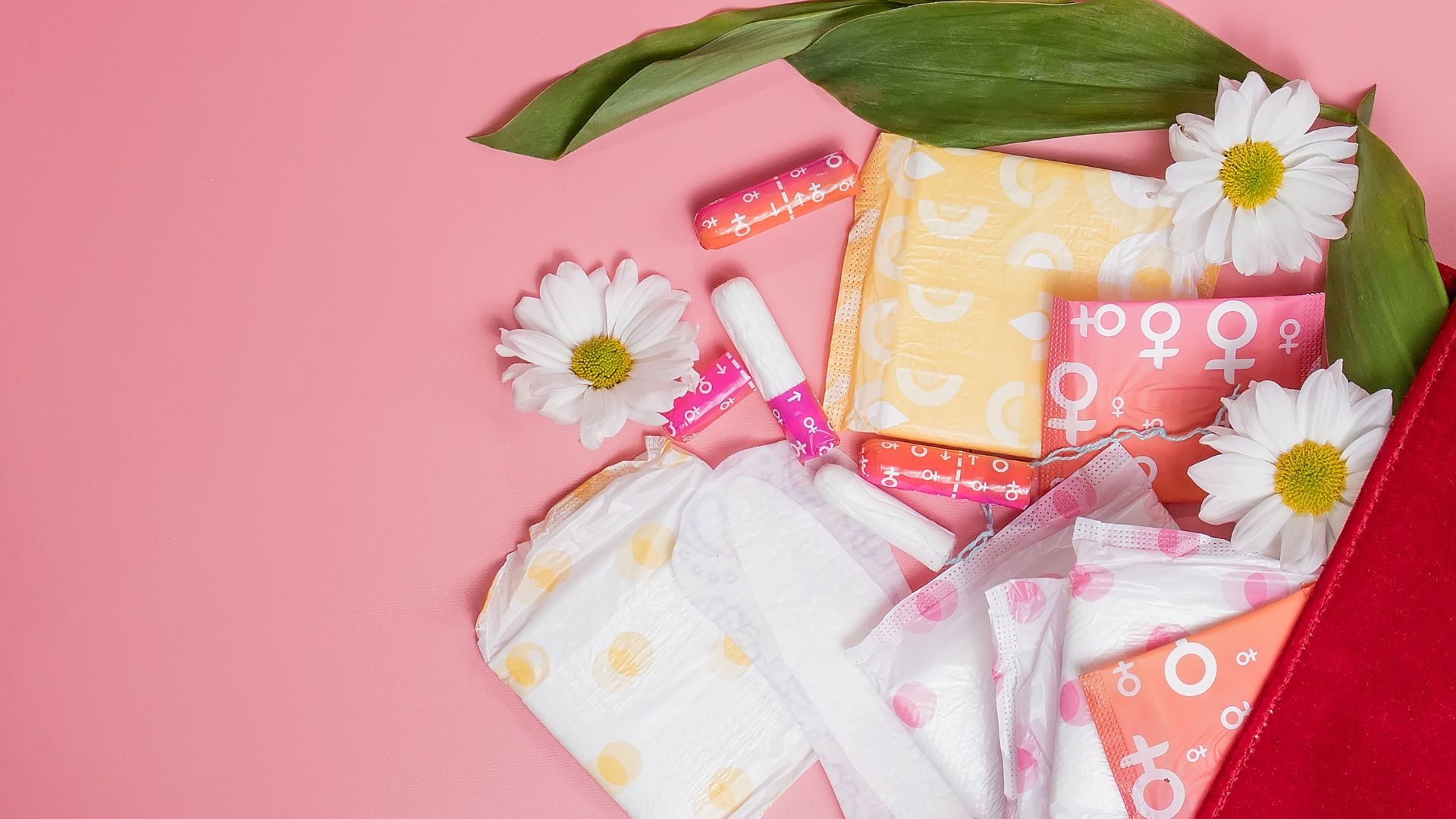 Governo de MS lança programa para combater pobreza menstrual nas escolas
