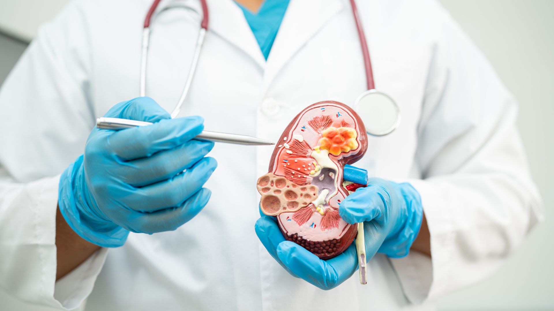 MS reconhece pessoas com doença renal crônica como PCD e amplia acesso a direitos e benefícios