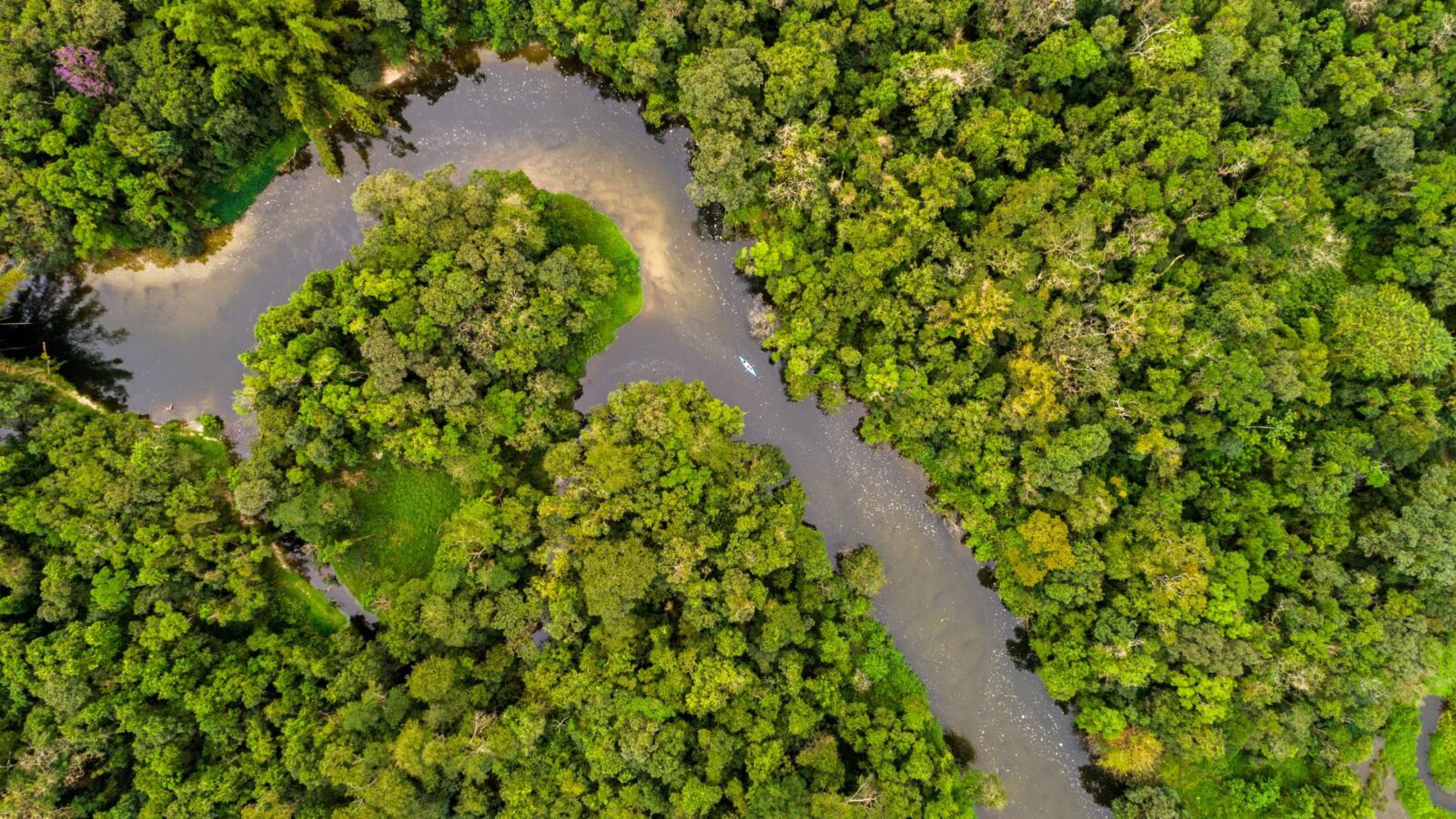 Brasil sedia COP30 e coloca Amazônia no centro das decisões climáticas