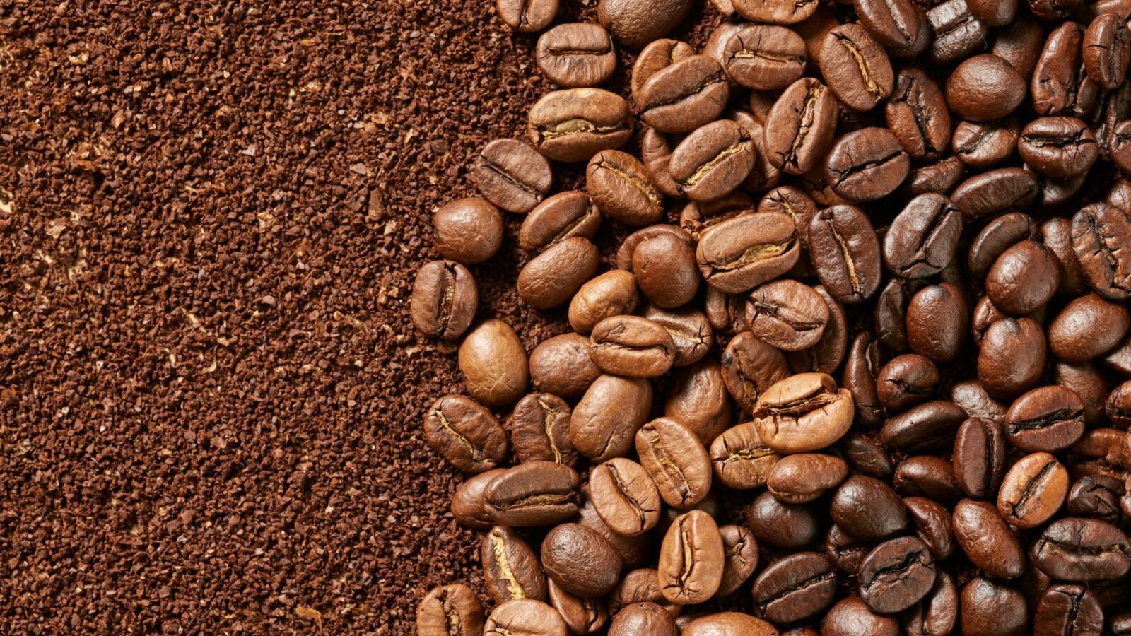 EUA suspendem sobretaxa de 40% e reabrem espaço para produtos brasileiros no mercado