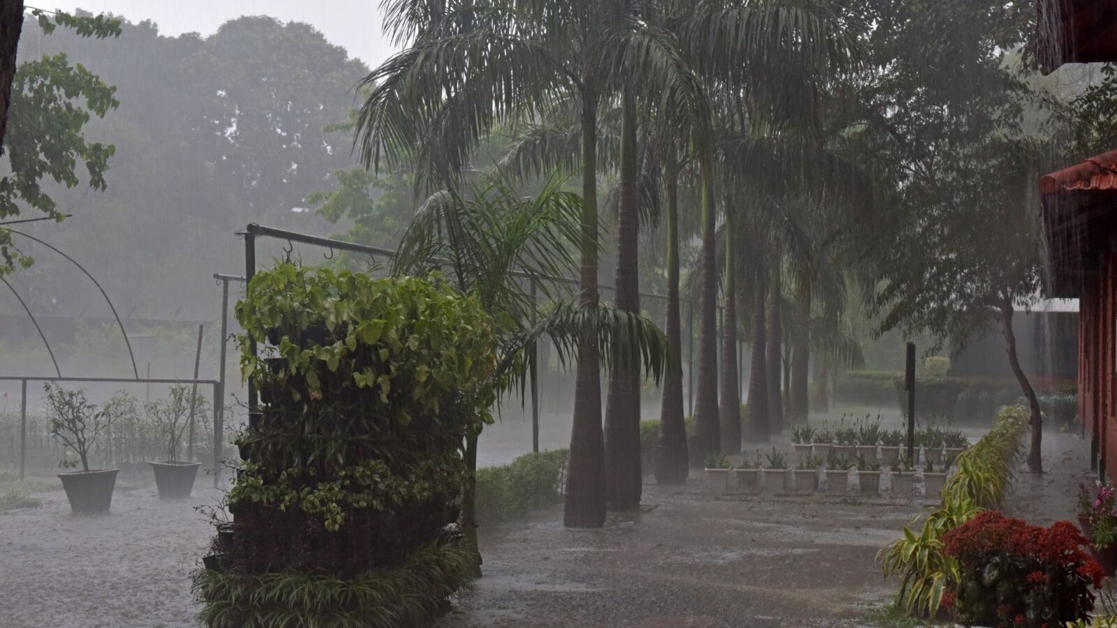 MS tem alerta de tempestades, ventos fortes e risco de granizo até quarta-feira (3)