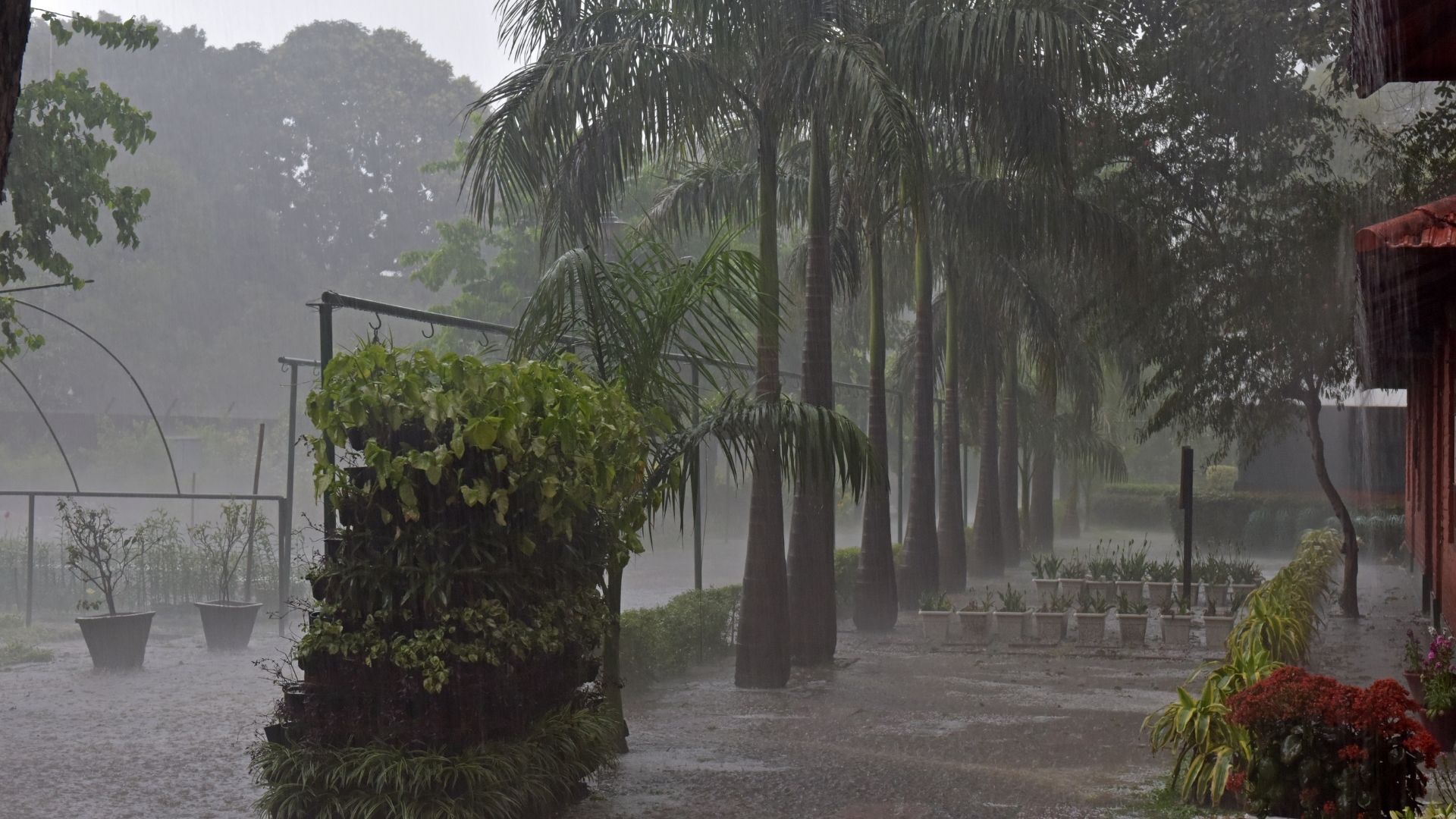 MS tem alerta de tempestades, ventos fortes e risco de granizo até quarta-feira (3)