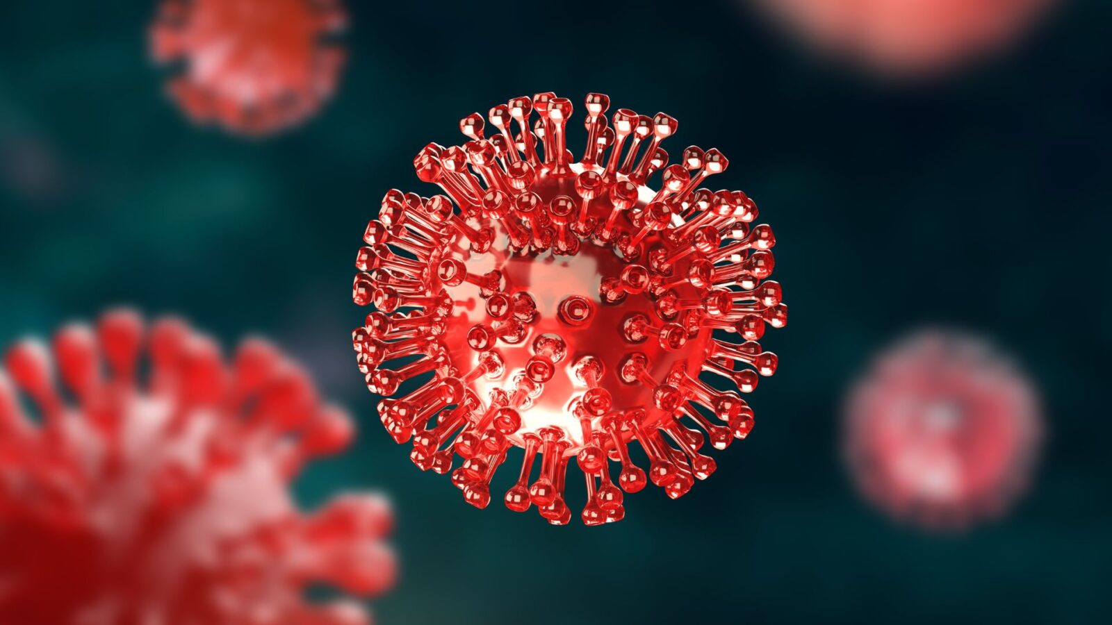 Ministério da Saúde descarta risco do vírus Nipah para o Brasil