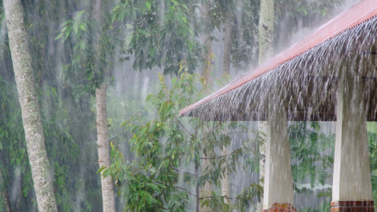 Fevereiro começa com chuvas intensas e já se aproxima da média histórica em Campo Grande