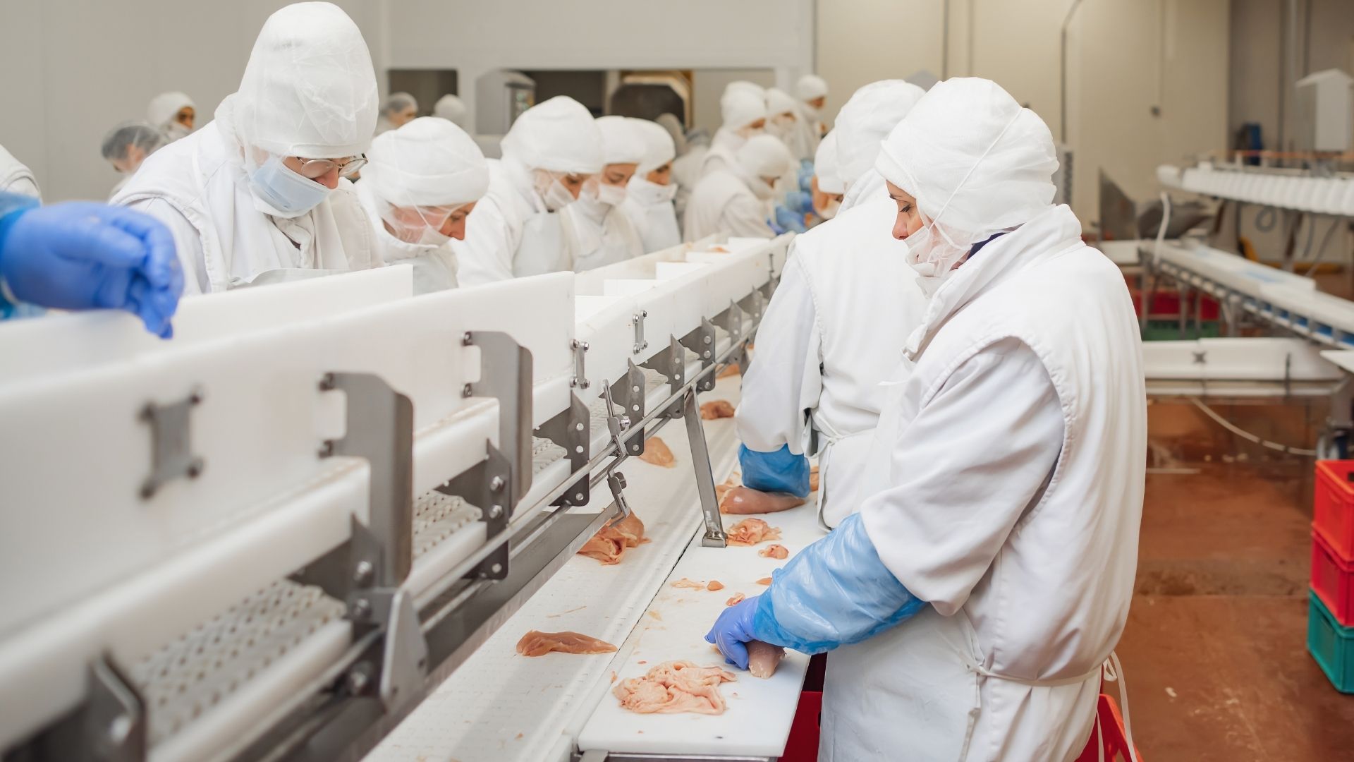 Exportações do Brasil para os EUA recuam 25,5% em janeiro após Tarifaço