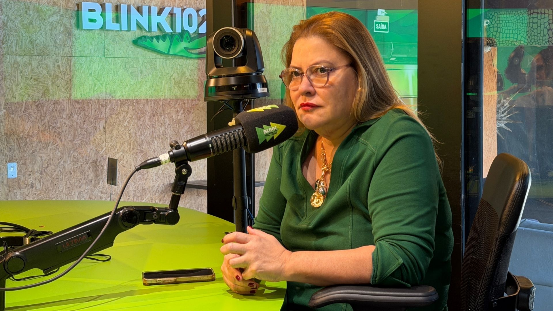 Casos de chikungunya avançam e colocam estado em alerta, diz secretária-adjunta da SES